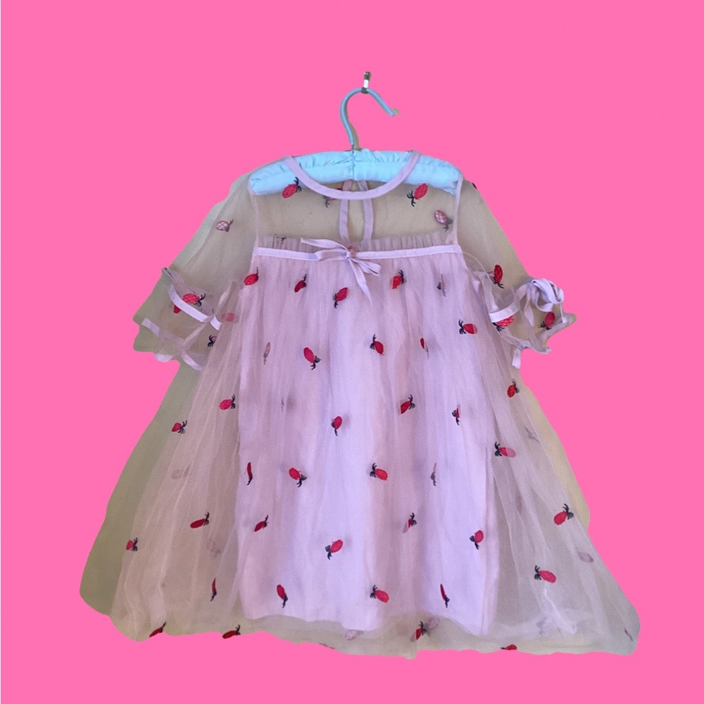 Strawberry Dress with Sheer Overlay and Embroidered Design